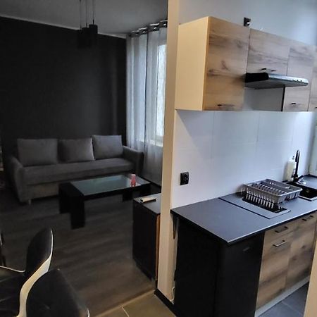 Apartament Pod Wieza Apartment Piotrkow Trybunalski Bagian luar foto