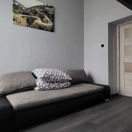 Apartament Pod Wieza Apartment Piotrkow Trybunalski Bagian luar foto
