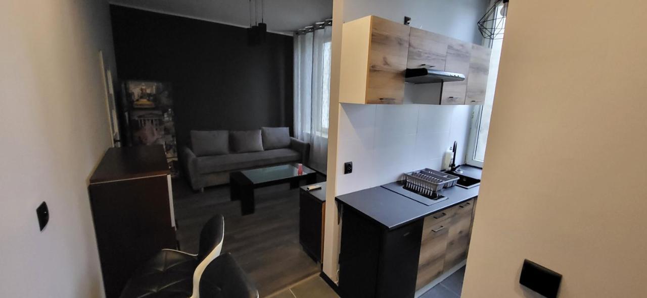 Apartament Pod Wieza Apartment Piotrkow Trybunalski Bagian luar foto
